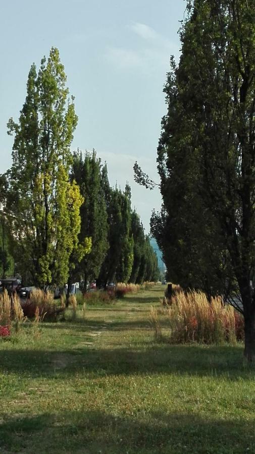 Apartament Krakowski Styl Luaran gambar